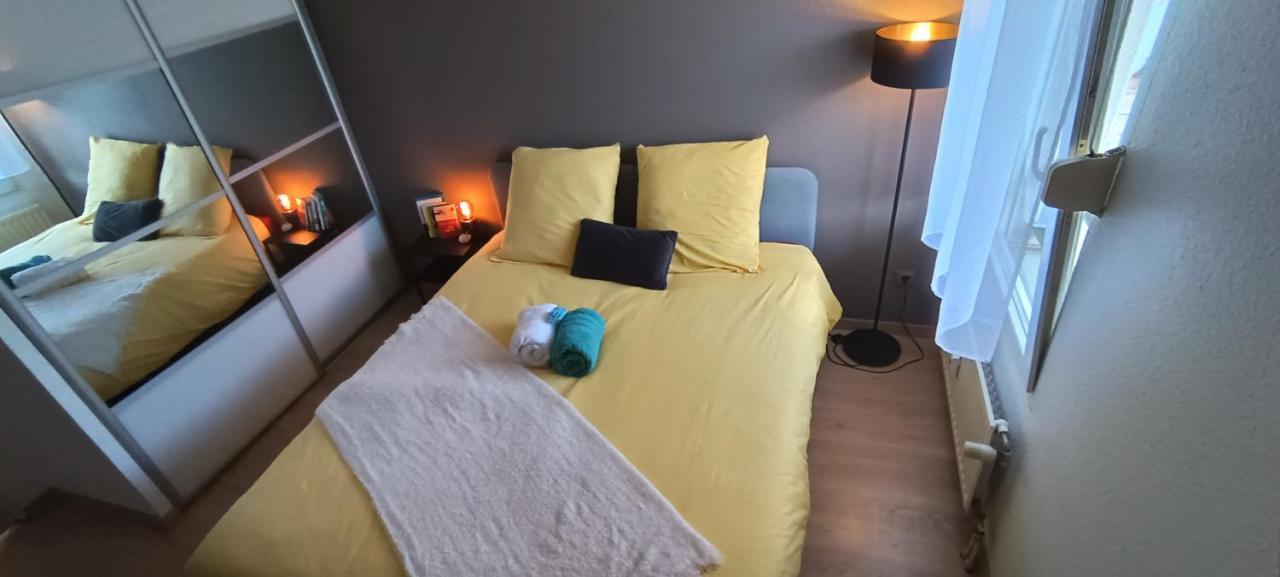 Stylish 1-Bedroom Flat With Beautiful Terrace , For A Cosy Retreat Στρασβούργο Εξωτερικό φωτογραφία
